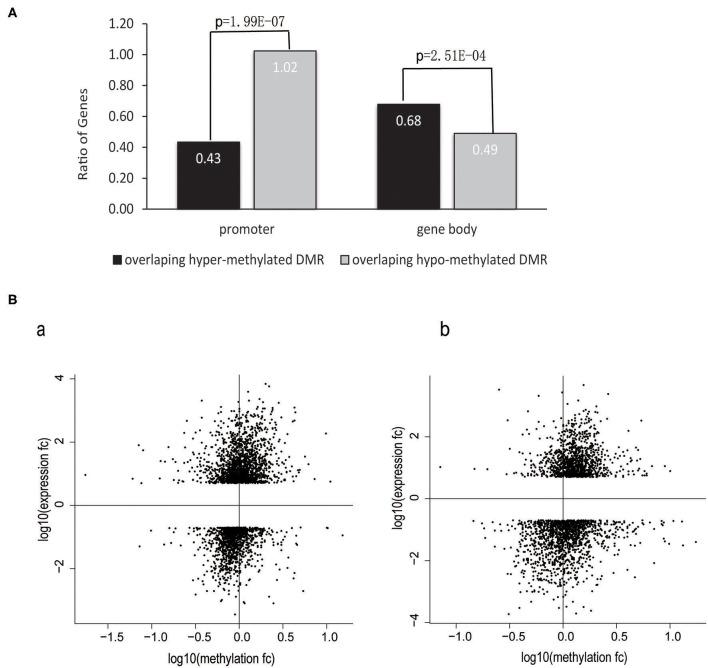 https://cdn.ncbi.nlm.nih.gov/pmc/blobs/5a7a/7511662/cc60c1ef6411/fimmu-11-02131-g0004.jpg