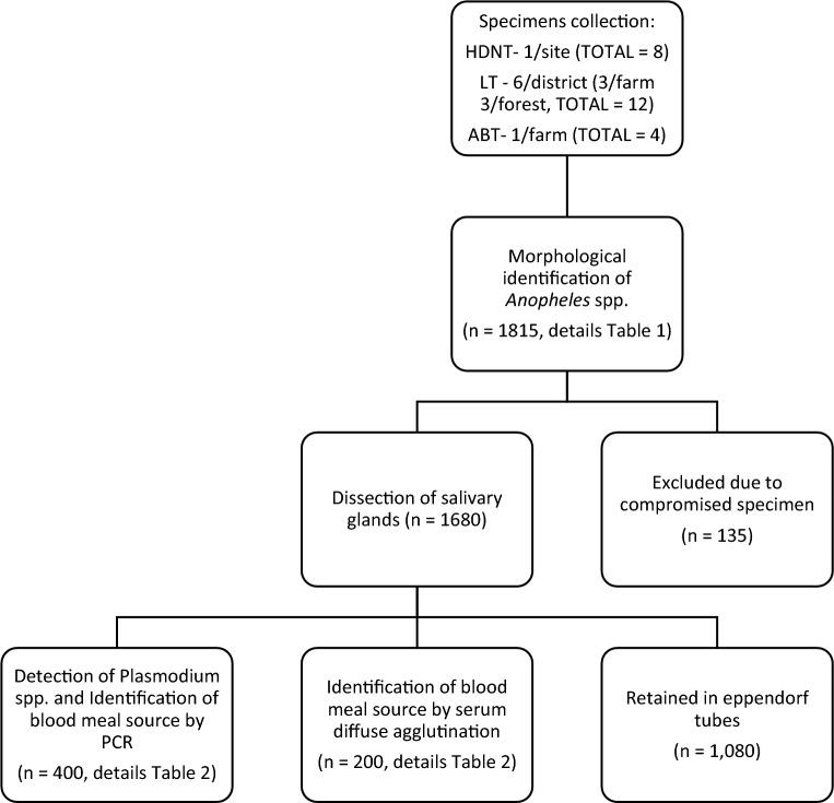 https://cdn.ncbi.nlm.nih.gov/pmc/blobs/5a7d/10320868/c5521d452b39/12936_2023_4631_Fig2_HTML.jpg