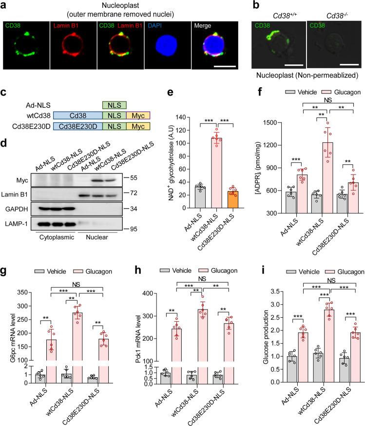 https://cdn.ncbi.nlm.nih.gov/pmc/blobs/5a7d/10393965/0cb2bf3bc0b4/12276_2023_1034_Fig1_HTML.jpg