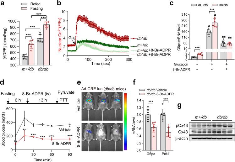 https://cdn.ncbi.nlm.nih.gov/pmc/blobs/5a7d/10393965/32612b4df23b/12276_2023_1034_Fig7_HTML.jpg