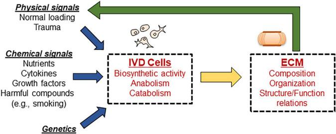 https://cdn.ncbi.nlm.nih.gov/pmc/blobs/5a7d/8793742/0b10ccbbdca7/fphys-12-750668-g001.jpg