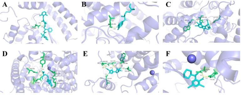https://cdn.ncbi.nlm.nih.gov/pmc/blobs/5a7e/9599096/720f15f97bb9/biosensors-12-00888-g008.jpg