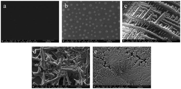 https://cdn.ncbi.nlm.nih.gov/pmc/blobs/5a7e/9599096/fc66f5342192/biosensors-12-00888-g003.jpg