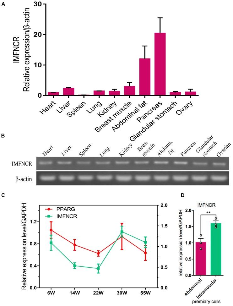 https://cdn.ncbi.nlm.nih.gov/pmc/blobs/5a81/6378276/553c0dfcc8eb/fgene-10-00042-g002.jpg