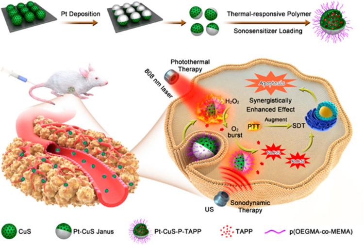 https://cdn.ncbi.nlm.nih.gov/pmc/blobs/5a81/9755170/9acf4d741fd8/fchem-10-1092747-g004.jpg