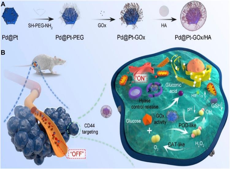 https://cdn.ncbi.nlm.nih.gov/pmc/blobs/5a81/9755170/9d05d263746c/fchem-10-1092747-g007.jpg