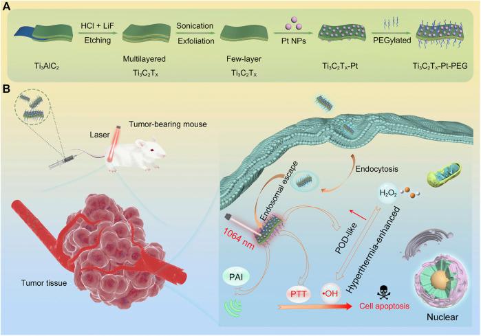 https://cdn.ncbi.nlm.nih.gov/pmc/blobs/5a81/9755170/e85cd73260aa/fchem-10-1092747-g005.jpg