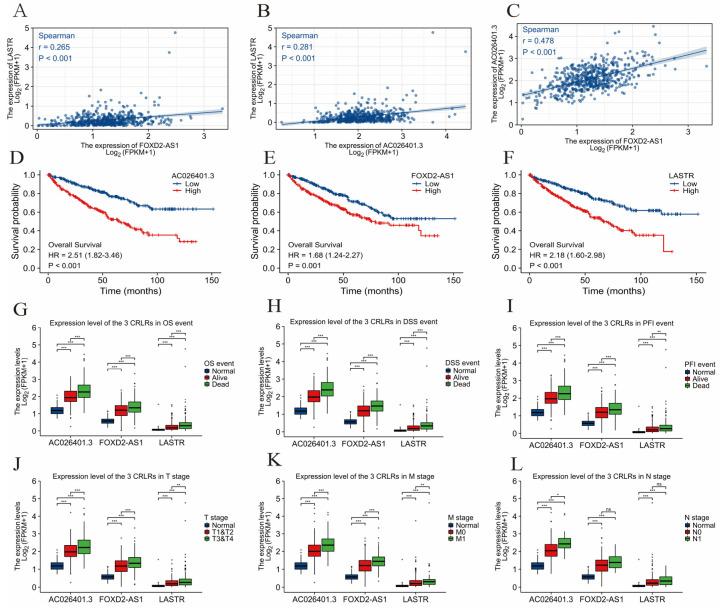 https://cdn.ncbi.nlm.nih.gov/pmc/blobs/5a83/9776244/00572d2498dc/biomolecules-12-01890-g003.jpg