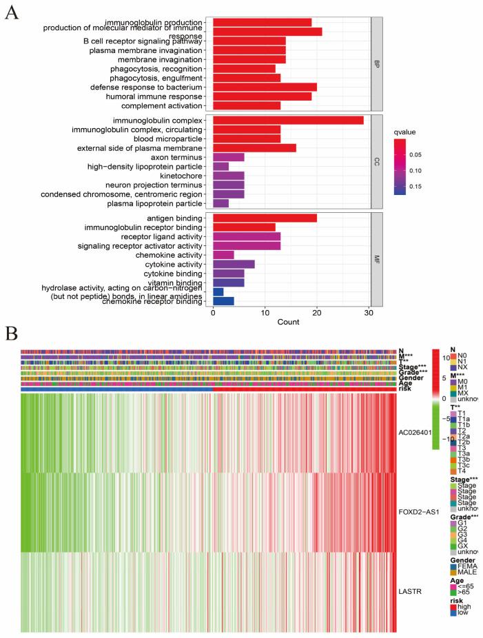 https://cdn.ncbi.nlm.nih.gov/pmc/blobs/5a83/9776244/2515ac8739cf/biomolecules-12-01890-g005.jpg