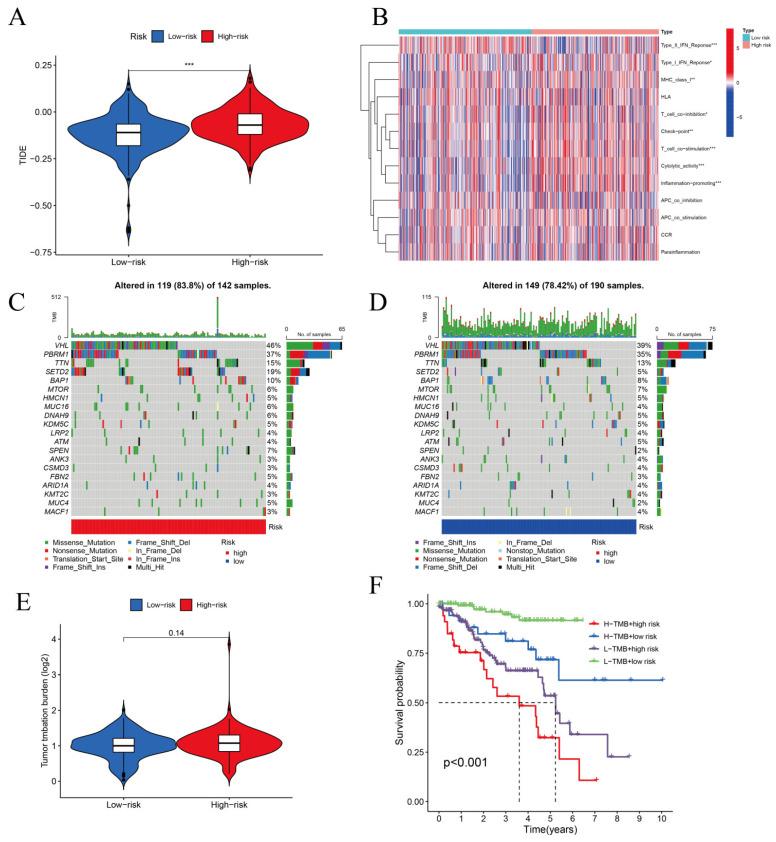 https://cdn.ncbi.nlm.nih.gov/pmc/blobs/5a83/9776244/507dc47d4629/biomolecules-12-01890-g012.jpg