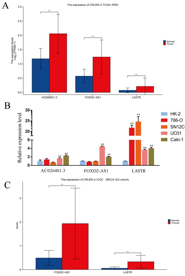 https://cdn.ncbi.nlm.nih.gov/pmc/blobs/5a83/9776244/94d9d38b8738/biomolecules-12-01890-g013.jpg