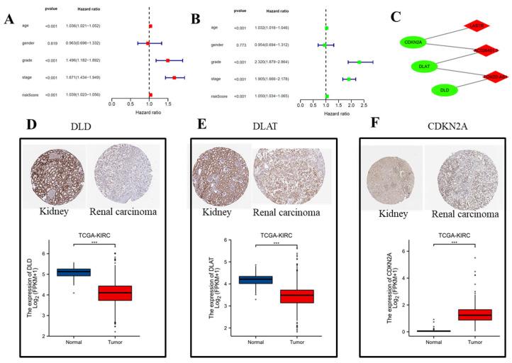 https://cdn.ncbi.nlm.nih.gov/pmc/blobs/5a83/9776244/d45c00b48116/biomolecules-12-01890-g004.jpg