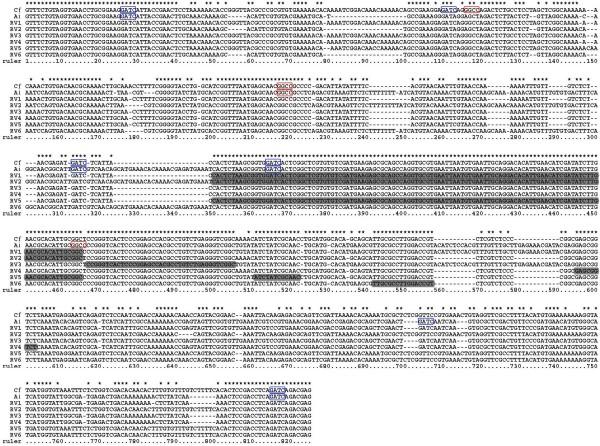 https://cdn.ncbi.nlm.nih.gov/pmc/blobs/5a84/2818637/6b3fa1bab8b6/1471-2148-10-6-2.jpg
