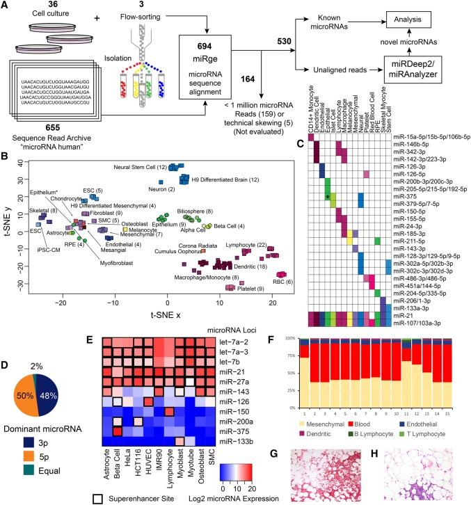 https://cdn.ncbi.nlm.nih.gov/pmc/blobs/5a85/5630040/f580b6536942/1769f02.jpg