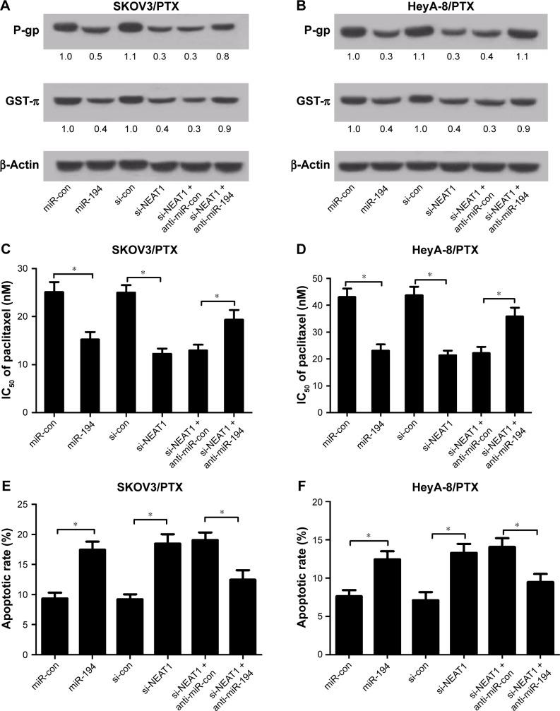 https://cdn.ncbi.nlm.nih.gov/pmc/blobs/5a85/5691924/3a8a1f0b370d/ott-10-5377Fig4.jpg