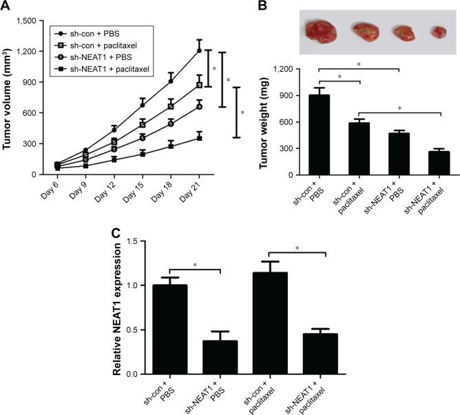 https://cdn.ncbi.nlm.nih.gov/pmc/blobs/5a85/5691924/57446f49d067/ott-10-5377Fig7.jpg
