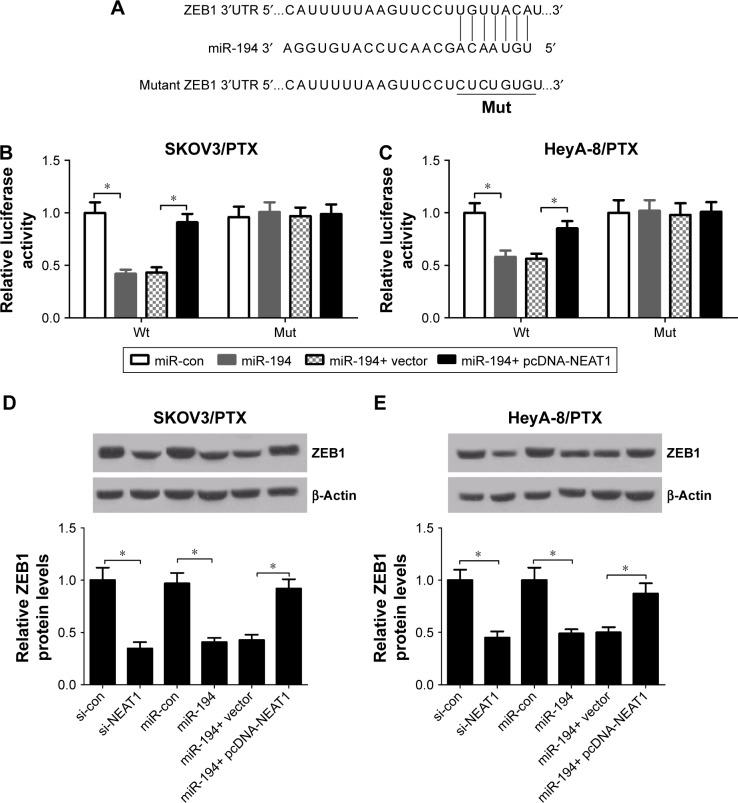https://cdn.ncbi.nlm.nih.gov/pmc/blobs/5a85/5691924/99c557450387/ott-10-5377Fig5.jpg