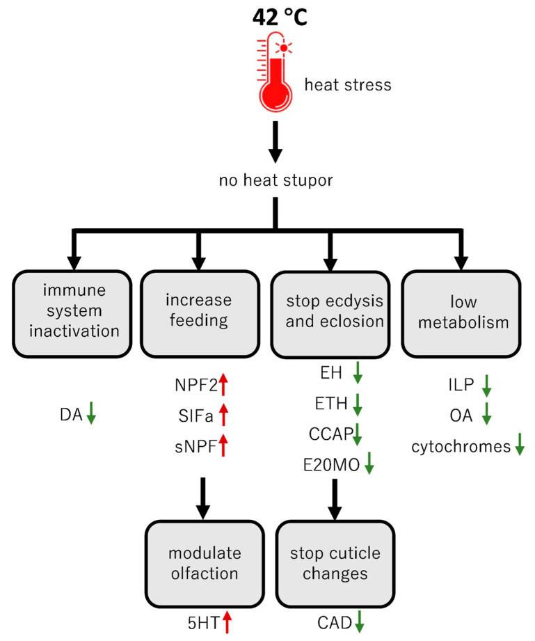 https://cdn.ncbi.nlm.nih.gov/pmc/blobs/5a88/11766081/54bf53bd7094/ijms-26-00691-g004.jpg