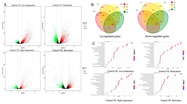 https://cdn.ncbi.nlm.nih.gov/pmc/blobs/5a88/11766081/779a6372667f/ijms-26-00691-g001.jpg