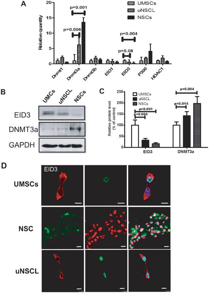 https://cdn.ncbi.nlm.nih.gov/pmc/blobs/5a88/5225425/d4265a9c66e7/srep40463-f3.jpg