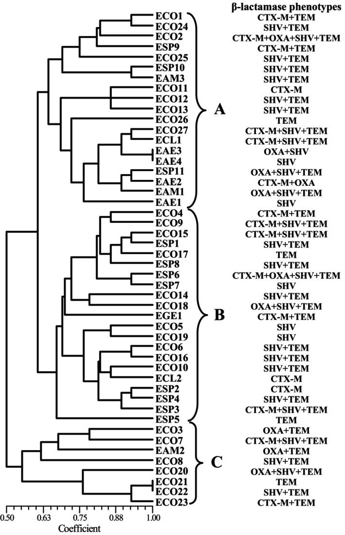 https://cdn.ncbi.nlm.nih.gov/pmc/blobs/5a89/10494609/c58e5ebf1b67/FSN3-11-5565-g003.jpg