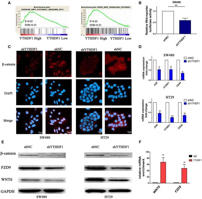https://cdn.ncbi.nlm.nih.gov/pmc/blobs/5a8b/6509179/0a7dff0e74dd/fonc-09-00332-g0007.jpg