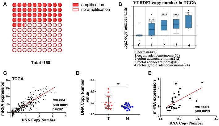 https://cdn.ncbi.nlm.nih.gov/pmc/blobs/5a8b/6509179/31fa2469a3ee/fonc-09-00332-g0002.jpg