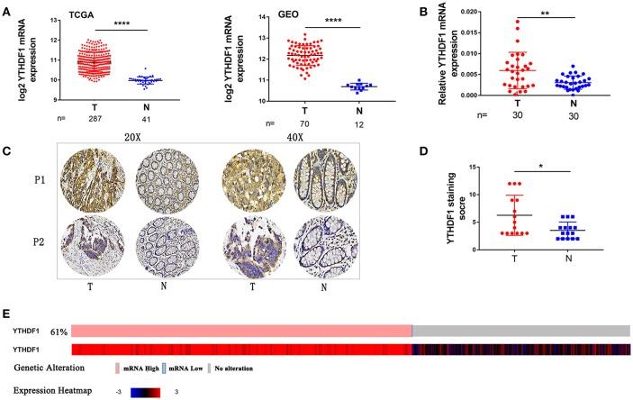 https://cdn.ncbi.nlm.nih.gov/pmc/blobs/5a8b/6509179/4f79778abee8/fonc-09-00332-g0001.jpg