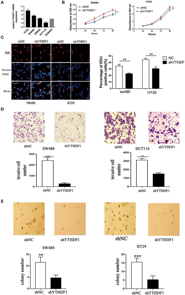 https://cdn.ncbi.nlm.nih.gov/pmc/blobs/5a8b/6509179/a4b994a4ac8c/fonc-09-00332-g0003.jpg
