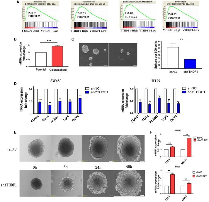 https://cdn.ncbi.nlm.nih.gov/pmc/blobs/5a8b/6509179/bc0da1d14df4/fonc-09-00332-g0005.jpg
