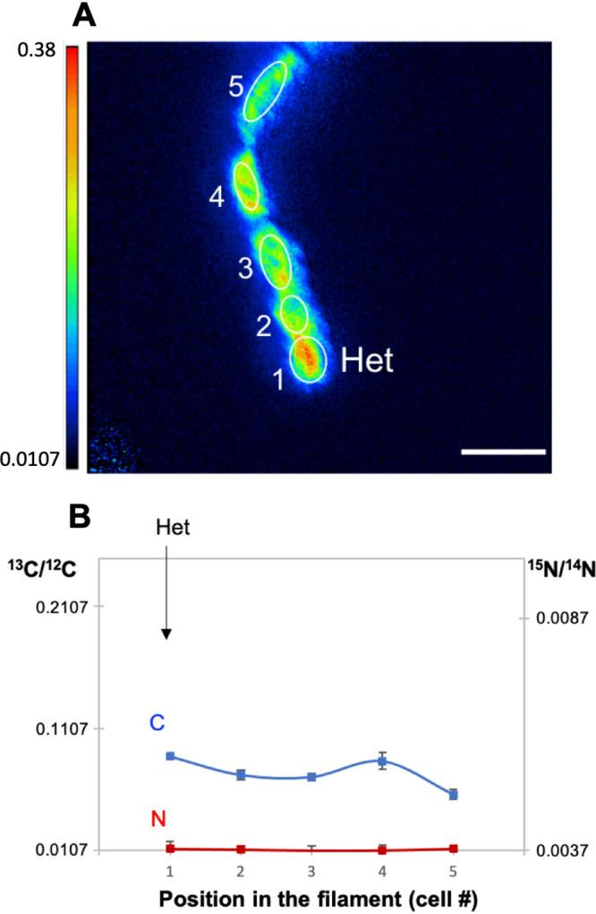 https://cdn.ncbi.nlm.nih.gov/pmc/blobs/5a8b/8406292/f882e4703233/mbio.01314-21-f005.jpg