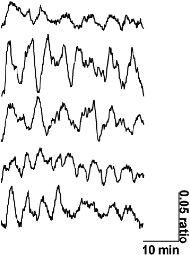 https://cdn.ncbi.nlm.nih.gov/pmc/blobs/5a8c/5828455/fea9f8a29f6d/dbi170004f2.jpg