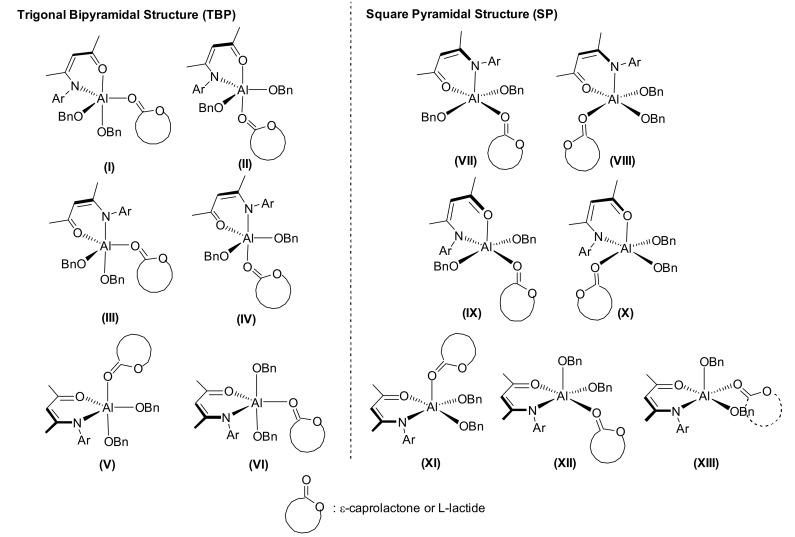 https://cdn.ncbi.nlm.nih.gov/pmc/blobs/5a8c/6780811/f1370dcfeb47/polymers-11-01530-g003.jpg