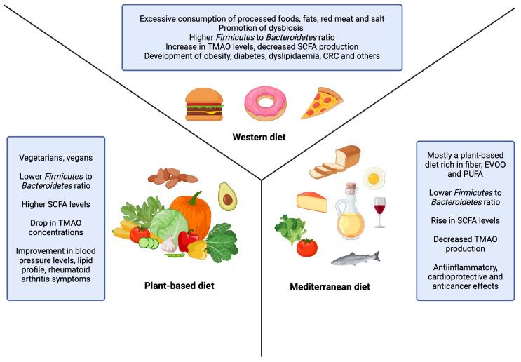 https://cdn.ncbi.nlm.nih.gov/pmc/blobs/5a8d/11434870/1e940840acf3/nutrients-16-03134-g001.jpg