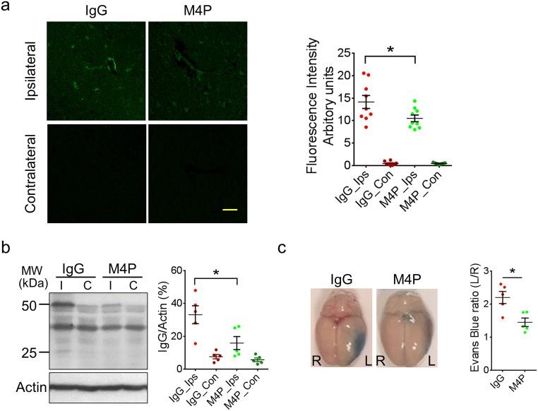 https://cdn.ncbi.nlm.nih.gov/pmc/blobs/5a8e/6892354/85756c07fd1e/424_2019_2326_Fig5_HTML.jpg