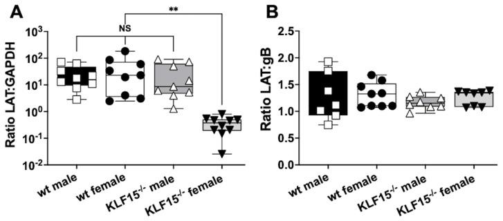 https://cdn.ncbi.nlm.nih.gov/pmc/blobs/5a8f/12389256/1619287d998a/pathogens-14-00823-g005.jpg