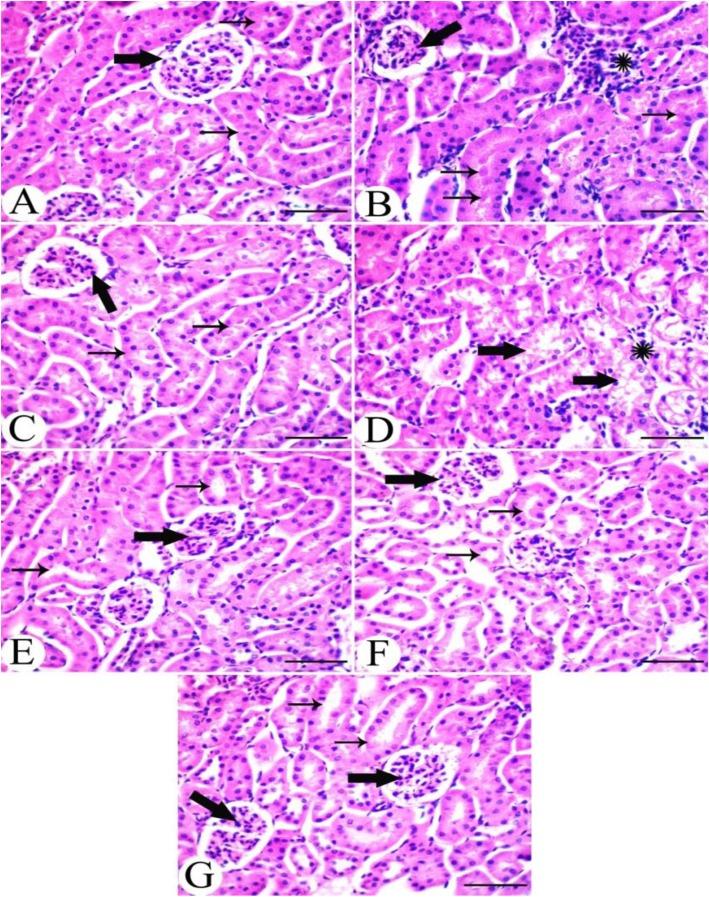 https://cdn.ncbi.nlm.nih.gov/pmc/blobs/5a8f/7011467/6fadf3bbafd1/40360_2020_386_Fig6_HTML.jpg