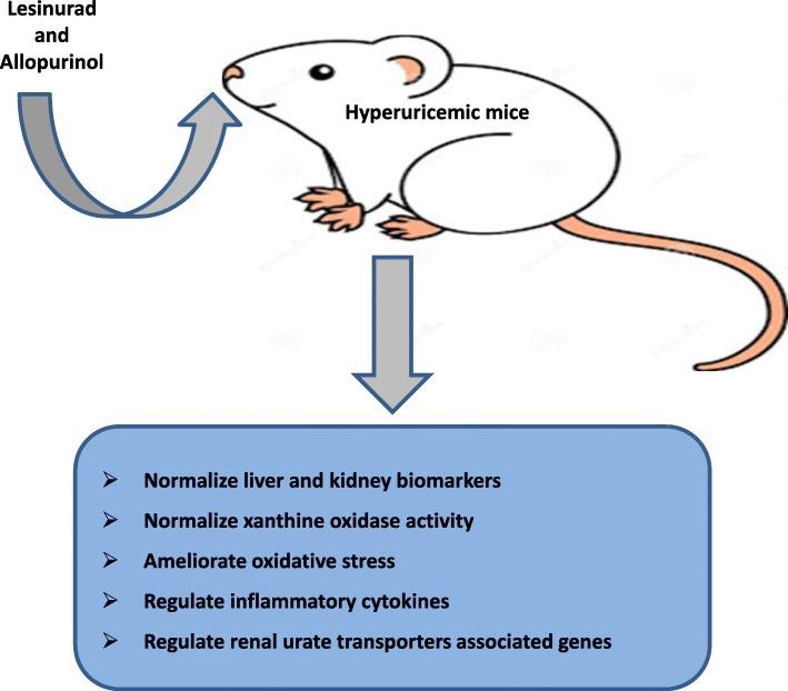 https://cdn.ncbi.nlm.nih.gov/pmc/blobs/5a8f/7011467/bf6bd1a2197e/40360_2020_386_Fig8_HTML.jpg