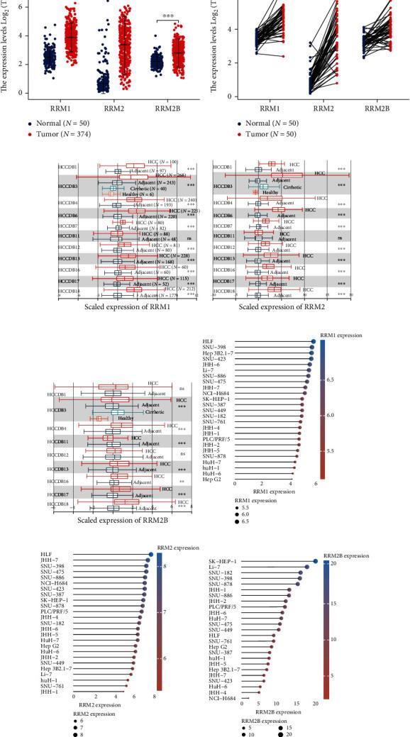 https://cdn.ncbi.nlm.nih.gov/pmc/blobs/5a8f/9883104/4c4d8e529415/OMCL2023-3878796.001.jpg