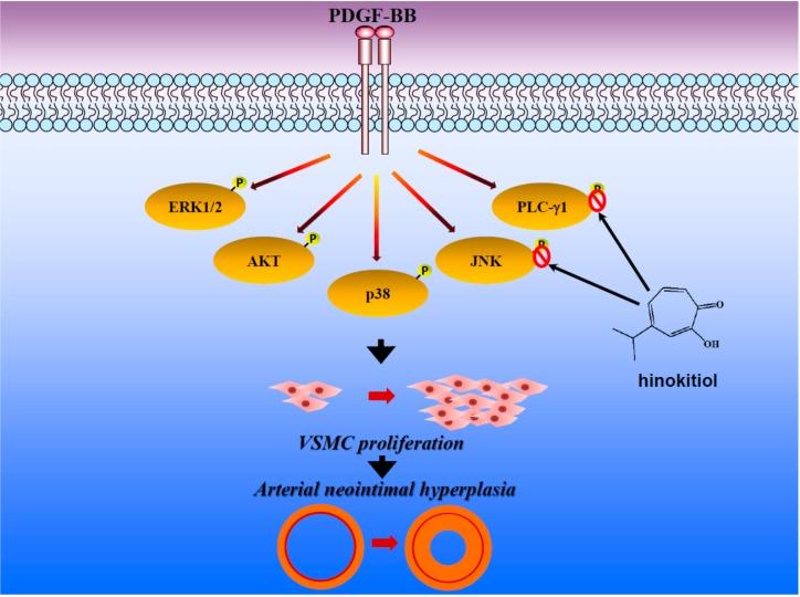 https://cdn.ncbi.nlm.nih.gov/pmc/blobs/5a91/6272725/036702916d99/molecules-20-08198-g006.jpg