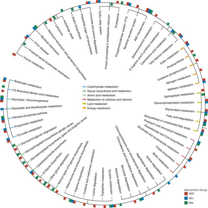https://cdn.ncbi.nlm.nih.gov/pmc/blobs/5a91/9091228/92a83b97fca3/41467_2022_29968_Fig3_HTML.jpg