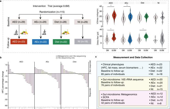 https://cdn.ncbi.nlm.nih.gov/pmc/blobs/5a91/9091228/993645fce0ed/41467_2022_29968_Fig1_HTML.jpg