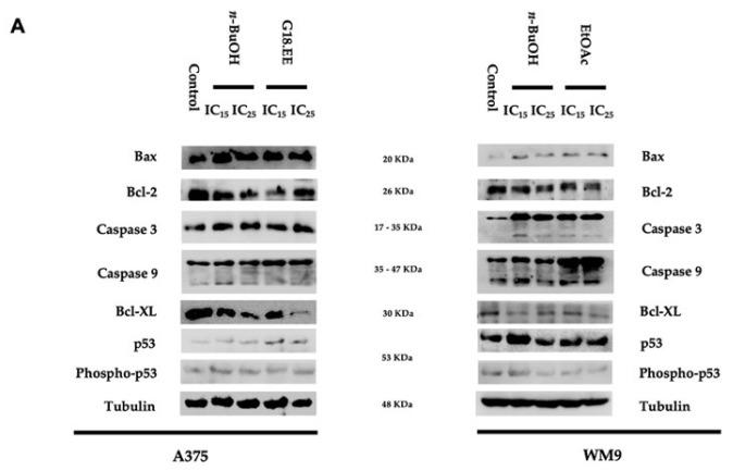 https://cdn.ncbi.nlm.nih.gov/pmc/blobs/5a94/9182411/5502c237e0ea/molecules-27-03533-g004a.jpg