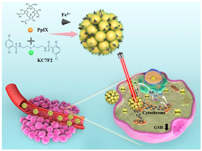 https://cdn.ncbi.nlm.nih.gov/pmc/blobs/5a96/11434982/c024ad5ccd1e/pharmaceutics-16-01130-sch001.jpg