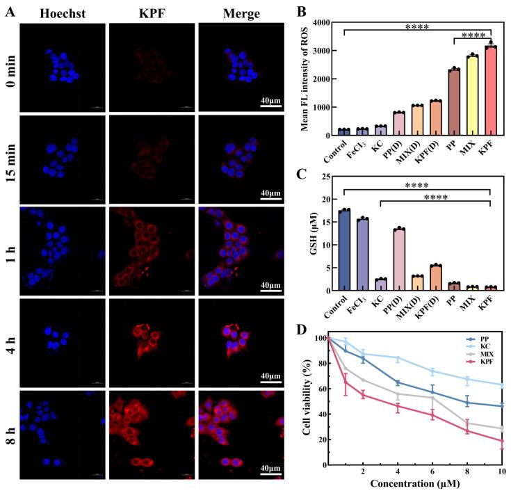 https://cdn.ncbi.nlm.nih.gov/pmc/blobs/5a96/11434982/ea537a4ae61a/pharmaceutics-16-01130-g003.jpg