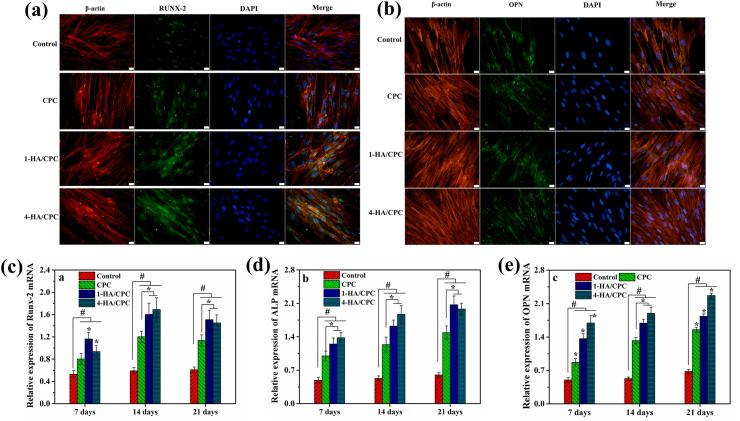 https://cdn.ncbi.nlm.nih.gov/pmc/blobs/5a96/8058907/62465d1cde9c/gr6.jpg