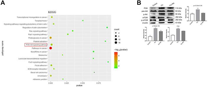 https://cdn.ncbi.nlm.nih.gov/pmc/blobs/5a96/9293722/a3ab4749a6e4/gr2.jpg