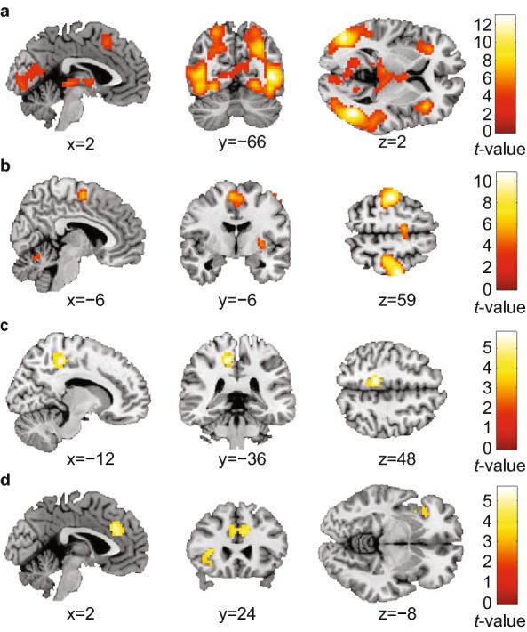 https://cdn.ncbi.nlm.nih.gov/pmc/blobs/5a97/8589974/584daac5095e/41598_2021_1684_Fig3_HTML.jpg