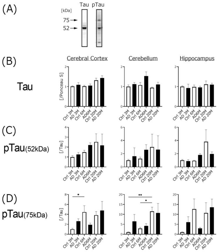 https://cdn.ncbi.nlm.nih.gov/pmc/blobs/5a97/8869326/048b48bbb799/biomedicines-10-00281-g004.jpg