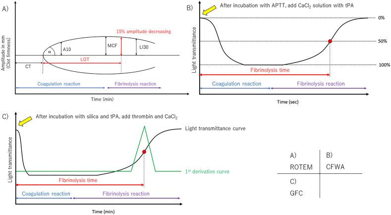 https://cdn.ncbi.nlm.nih.gov/pmc/blobs/5a98/10982290/0efecb7c37a1/41598_2024_58436_Fig1_HTML.jpg